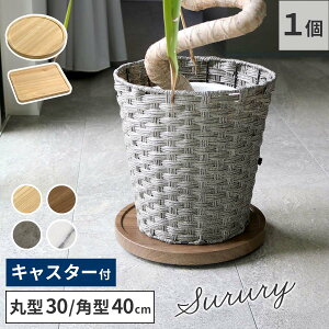 �V�R�f�ޒ��̃}���`�g���[�i�L���X�^�[�t�j �ی^30cm/�p�^40cm TR-CS �X�^���h �x�[�X �v�����^�[ �A�� �t�����[ �Ɠd ��C����@ ��� �� �ԑ� �L�����[ �ؖ� �嗝�Β� �A�ؔ� ���u�� ������� 