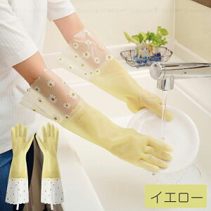 S O^Cv /ylR|Xz/ S O  O[u Lb` d ~ G{XH X}zg ݂艺qt 􂢕 | K[fjO 