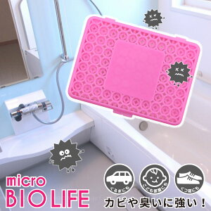 }CNoCICt 70149 / yʗX֑z /Jr ɂ h~ hJr hL C oCI  p[Cg AM[ 񂻂 C  ʏ N[[bg ^X  GAR