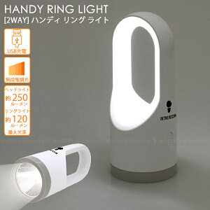 y݌ɏznfBOCg 90034 / LED d nhCg 2WAY wbhCg OCg USB[d _ iK IN THE ROOM  zCg  CeACg fXN 