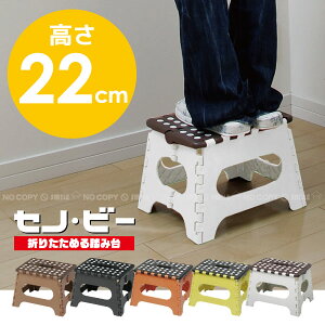 y݌ɏzZmEr[ [22cm^Cv]/ ܂肽ݎ ݑ