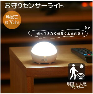 ZT[Cg ASL-4302 / LED Cg _ ZT[  lZT[ xZT[ 20b_  L Lb` rO Q  퓔