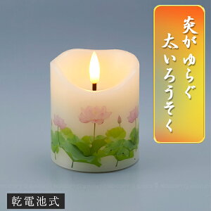 炮낤 ARO-4301 / LED S 낤 E\N XC [\N  c ΂gȂ S S X { 炮 A dr JԂg ȒP d   