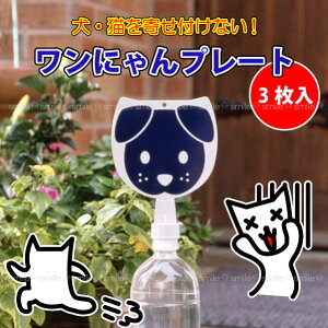 y݌ɏzɂv[g[3]APE-020ylR|Xz