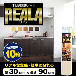 ؖڒV[gA[30cmX90cm]/y|Cg {z