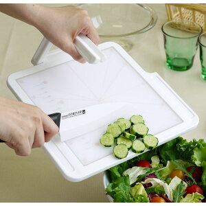 まな板 抗菌 / デザインキッチンボード スタンドタイプS SDKB-S/【ポイント 倍】