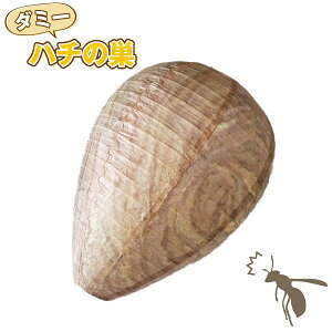 �_�~�[�n�`�̑� F20243/ �y���ʗX�֑��������z / �I �͂� �n�` �I�̑� �n�`�̑� �h�~ �΍� ���� �_�~�[ �U�� �X�Y���o�` ���I ��i�s�g�p �����e�i���X�s�v �ߊl���Ȃ� �E���Ȃ� �񂹕t���Ȃ� 