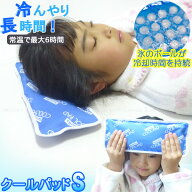 Salofix クールパッド Sサイズ F20441 / 【ネコポス送料無料】/ アイス枕 氷枕 冷たい 冷凍 クール ひん…