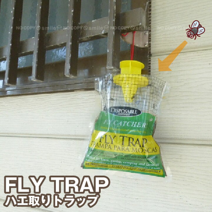 楽天市場 Fly Trap ハエ取りトラップ F0 ハエ 蠅 コバエ 虫 ハエ取り トラップ 駆除 誘引 捕獲器 捕獲 殺虫 吊る 吊るす 防止 対策 除け 屋外 ごみ箱 生ごみ 殺虫剤不使用 ペット 子供 安心 安全 住マイル