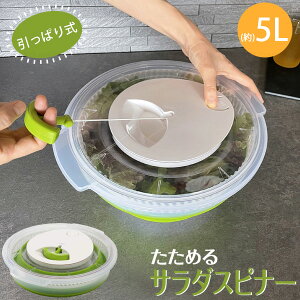 Felio ߂T_Xsi[ F22001 /yz/  ؂ 5L e 傫 Ղ ؂ T_Xsi[  ]  蓮 q R  ȒP y E  Lb`