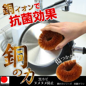  킵 / ̗̓V[Y Rۃ^V F8363/y|Xgz