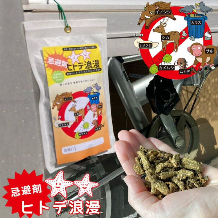 楽天市場 ヒトデ浪漫 ポスト投函送料無料 忌避剤 乾燥 ヒトデ 北海道産 日本製 天然素材 小分けタイプ 害獣 害虫 動物 虫 寄せ付けない 寄り付かない 対策 肥料 菜園 畑 軒下 洗面所 住マイル