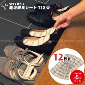 楽天市場 パンプス 消臭 防臭用品 靴ケア用品 アクセサリー 靴の通販