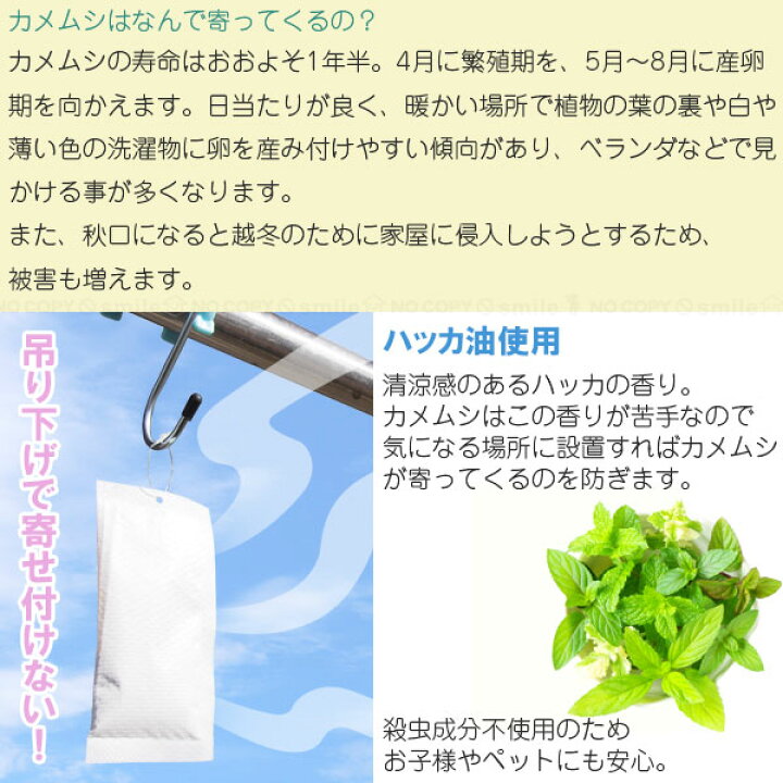 楽天市場】カメムシ御免 FP-430 /【ポスト投函送料無料】/ 忌避剤 