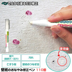 ǎ C/ǎ̂ȂݏCy FP-318 yʗX֑z/y|Cg {z