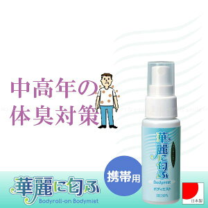 y݌ɏzؗɓӃ{fB~Xg[gїp]