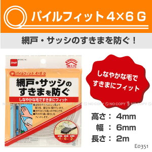 pCtBbg[4×6G] / E0351yʗX֑z