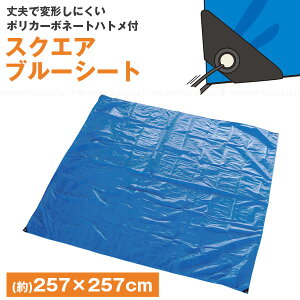 �u���[�V�[�g �X�N�G�A 257×257cm BS-01 / �u���[ �V�[�g �r�j�[���V�[�g �~�� �J�o�[ ��v �ό`���ɂ��� �R�[�i�[�p�b�h�t�� �|���J�[�{�l�[�g�n�g�� ���p�r �s�y ���W���[ ��� DIY �ۊ� �z�R��