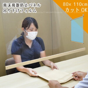 飛沫飛散防止 吊り下げフィルム 1100×800mm HBTF1180 / ウイルス ウィルス 飛沫 感染 飛散 対策 防止 感染対策 吊るす 吊り下げ カーテン フィルム 衛生 清潔 パネル 透明 フィルター 仕切り 間仕切