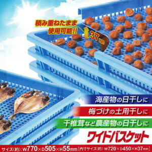 Vplbg / ChoXPbg/y|Cg {z