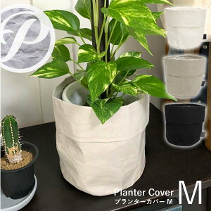 v^[Jo[M y[p[ PP-PCM-P /y|Xgzv^[ Jo[ 5 6 Ntgy[p[ y CeA O[ ϗtA Vv