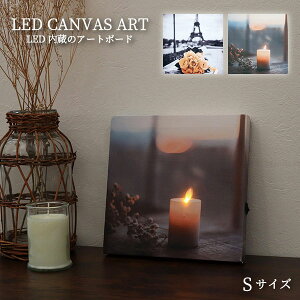 LEDLoXA[g STCY / y䂤pPz / LED Cg LoX  I D  h炮 Lh u[P CgA[g  EH[fR Q rO L 