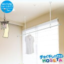 室内物干し 吊り下げ HOSETA[ショートタイプ]TA4560/【ポイント 倍】【ss】