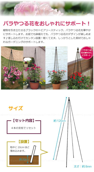 Daim トピアリースティック クレマチス おしゃれ トピアリー 8mm 1cm ガーデニング 支柱 バラ 花 Daim トピアリースティック クレマチス おしゃれ トピアリー 8mm 1cm ガーデニング 支柱 バラ 花