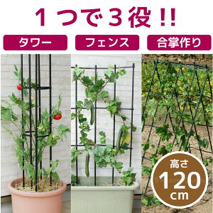 ܂܂gX 60x120cm / gX ACA | K[fjOpi A[ x eBX tFX  S X`[ vX`bNR[eBO