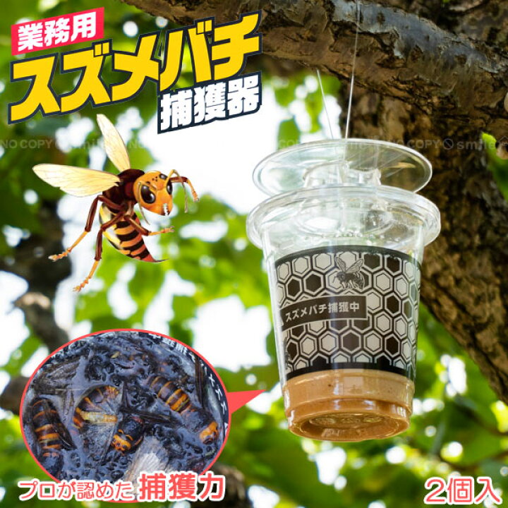 楽天市場 スズメバチ 捕獲機 2個入 スズメバチ 蜂 はち ハチ 害虫 駆除 誘引 捕獲器 捕獲 退治 殺虫 薬剤不使用 吊る 吊るす ハチの巣 巣作り 防止 対策 除け 屋外 住マイル