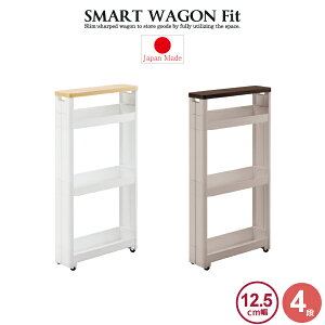 Ԏ[ bN/X}[gSFit WT45-4i F2540/y|Cg {z