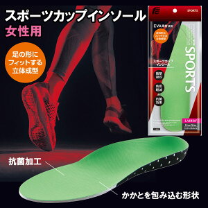 C\[ fB[X /X|[cJbv C\[ p C-3002 2Zbg REFRESHINSOLE PROylR|Xz