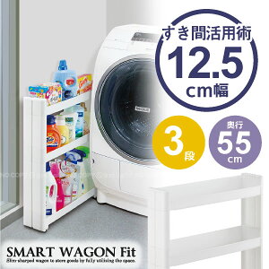 X}[gSFit h[ 3i F-2548/ ܎[ 12.5cm X}[gS h[ 3i F2548 tBbg Ԏ[ ʏ ʑ @ X[ X XbN    