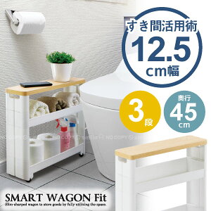 X}[gSFit Tj^[ 3i F-2549/ ܎[ 12.5cm X}[gS Tj^[ 3i F-2549 tBbg Ԏ[ gC gC[ X[ XbN   gCbgy[p