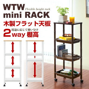 ���S�� �L���X�^�[�t��/ WTW-�~�j���b�N F-2503/�y�|�C���g �{�z