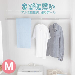 A~yʓ˂ς|[ M ALA-2 /A~ ˂ ˂_ |[    Lb`[ nMO A fBXvC  J[e J[e[ Vo[ Vv