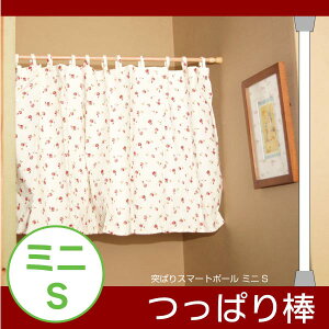 ˂ςX}[g|[@~jS/y|Cg {zyߑւz