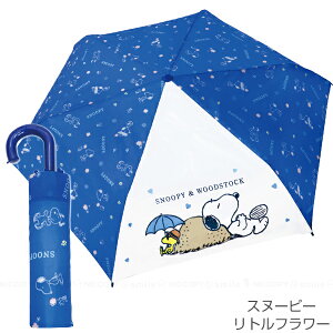 qLN^[܏P [nyuka5] /yRpNgցz/ LN^[ ܂肽ݎP ܂ݎP JP 6{ J P  J ϕ OXt@Co[ ܂ɂ ^ [ e53cm 