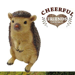 K[f u / `AttY nlY~̃n[ 1003650-00 /yoׁzy20Pz