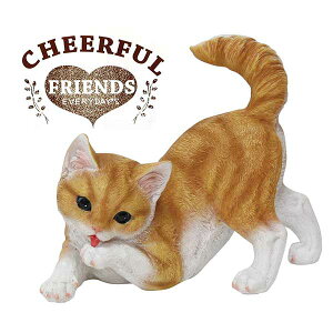 K[f u / `AttY qL̃I 1003697-02 yoׁzy20Pz