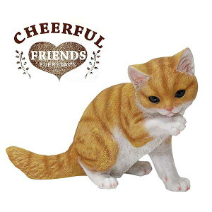 K[f u / `AttY qL̃`` 1003697-03 yoׁzy20Pz