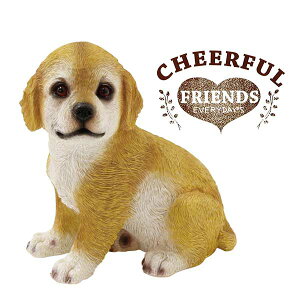 K[f u / `AttY uh[̃nbs[ 1003702-03 yoׁzy20Pz