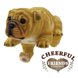 K[f u / `AttY uhbÕ`[[ 1003703-02 yoׁzy20Pz