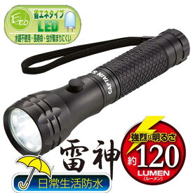 ライト/雷神　アルミパワーチップ型LEDライト（DX） M-5121/【ポイント 倍】