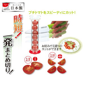 XCT[/xWNv`g}gꔭXCT[ C-9119/y|Cg {z