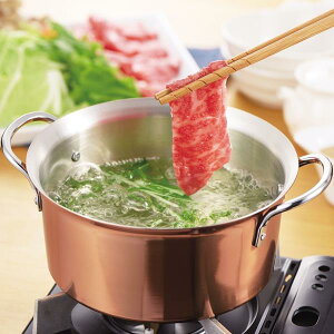 ElԂԓ14cmmHB-1381ny{z/y|Cg {z