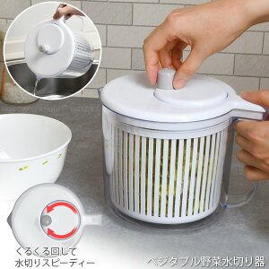 Simplice xW^uؐ؂ C-1066 /  ؂ e ؂ T_Xsi[  ]  vʃJbv 2.5L 蓮 E   p H VLb ȒP