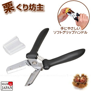 ֗ IV \tgObv C-3809 / I  甍 ނ  oT~ nT~ ͂ 肪ɂȂɂ \tgObv ֗G {