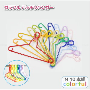 Jtob`nK[M 10{g Jt CBCM-10C / Obv nK[ ΂Ȃ   LтȂ |   |[ R x_   Jt