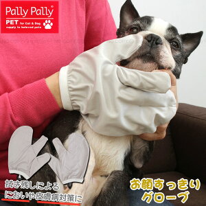 炷O[u 2 PT4611 / y|Xgz/ Pally Pally pet ybgp PA ܌^ @  V  ̌ g  @c ɂ 畆a΍ p[p[